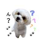 我が家の雪ちゃん（個別スタンプ：6）