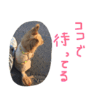 写真スタンプ123（個別スタンプ：10）