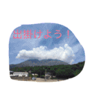 写真スタンプ123（個別スタンプ：16）
