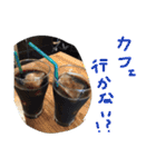 写真スタンプ123（個別スタンプ：18）