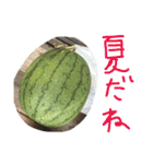 写真スタンプ123（個別スタンプ：23）