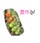 写真スタンプ123（個別スタンプ：25）