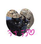 写真スタンプ123（個別スタンプ：36）