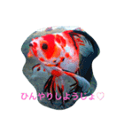 涼風金魚（個別スタンプ：2）