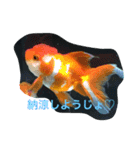 涼風金魚（個別スタンプ：3）