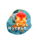 涼風金魚（個別スタンプ：12）