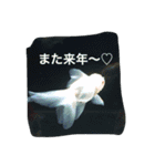 涼風金魚（個別スタンプ：14）