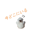 なんちゃってポンポン犬（個別スタンプ：2）