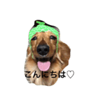 めいちゃんと一緒（個別スタンプ：5）