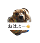 めいちゃんと一緒（個別スタンプ：7）