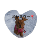 めいちゃんと一緒（個別スタンプ：8）