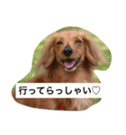 めいちゃんと一緒（個別スタンプ：9）