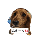 めいちゃんと一緒（個別スタンプ：10）