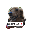 めいちゃんと一緒（個別スタンプ：11）