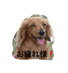 めいちゃんと一緒（個別スタンプ：12）