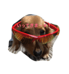 めいちゃんと一緒（個別スタンプ：13）