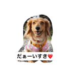めいちゃんと一緒（個別スタンプ：14）