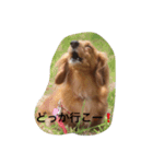 めいちゃんと一緒（個別スタンプ：16）