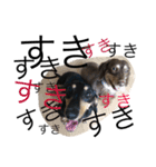 愛犬まろ親子feat赤ちゃん（個別スタンプ：7）
