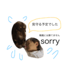 愛犬まろ親子feat赤ちゃん（個別スタンプ：21）