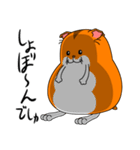 のったりハムスター（個別スタンプ：21）