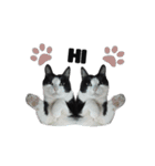 A Fat cat life 2（個別スタンプ：3）