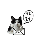 A Fat cat life 2（個別スタンプ：7）