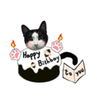 A Fat cat life 2（個別スタンプ：29）