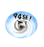 A Fat cat life 2（個別スタンプ：34）