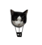 A Fat cat life 2（個別スタンプ：35）