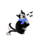 A Fat cat life 2（個別スタンプ：39）