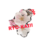 顔ちゃんスタンプ（個別スタンプ：15）
