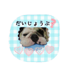 おちゃめ娘の毎日（個別スタンプ：2）