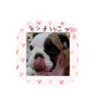おちゃめ娘の毎日（個別スタンプ：4）