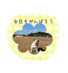 おちゃめ娘の毎日（個別スタンプ：7）