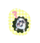 おちゃめ娘の毎日（個別スタンプ：9）