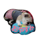 おちゃめ娘の毎日（個別スタンプ：11）