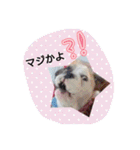 おちゃめ娘の毎日（個別スタンプ：13）