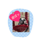 おちゃめ娘の毎日（個別スタンプ：15）