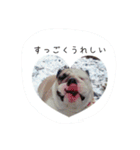おちゃめ娘の毎日（個別スタンプ：18）