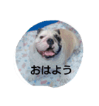 おちゃめ娘の毎日（個別スタンプ：20）
