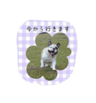 おちゃめ娘の毎日（個別スタンプ：21）