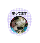 おちゃめ娘の毎日（個別スタンプ：22）