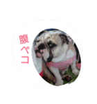 おちゃめ娘の毎日（個別スタンプ：23）