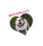 おちゃめ娘の毎日（個別スタンプ：24）