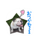 おちゃめ娘の毎日（個別スタンプ：27）