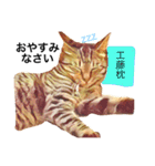 モカとアメ工藤さん（個別スタンプ：4）