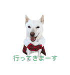 まぅの1日（個別スタンプ：4）
