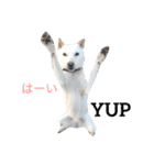 まぅの1日（個別スタンプ：17）