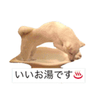 まぅの1日（個別スタンプ：19）
